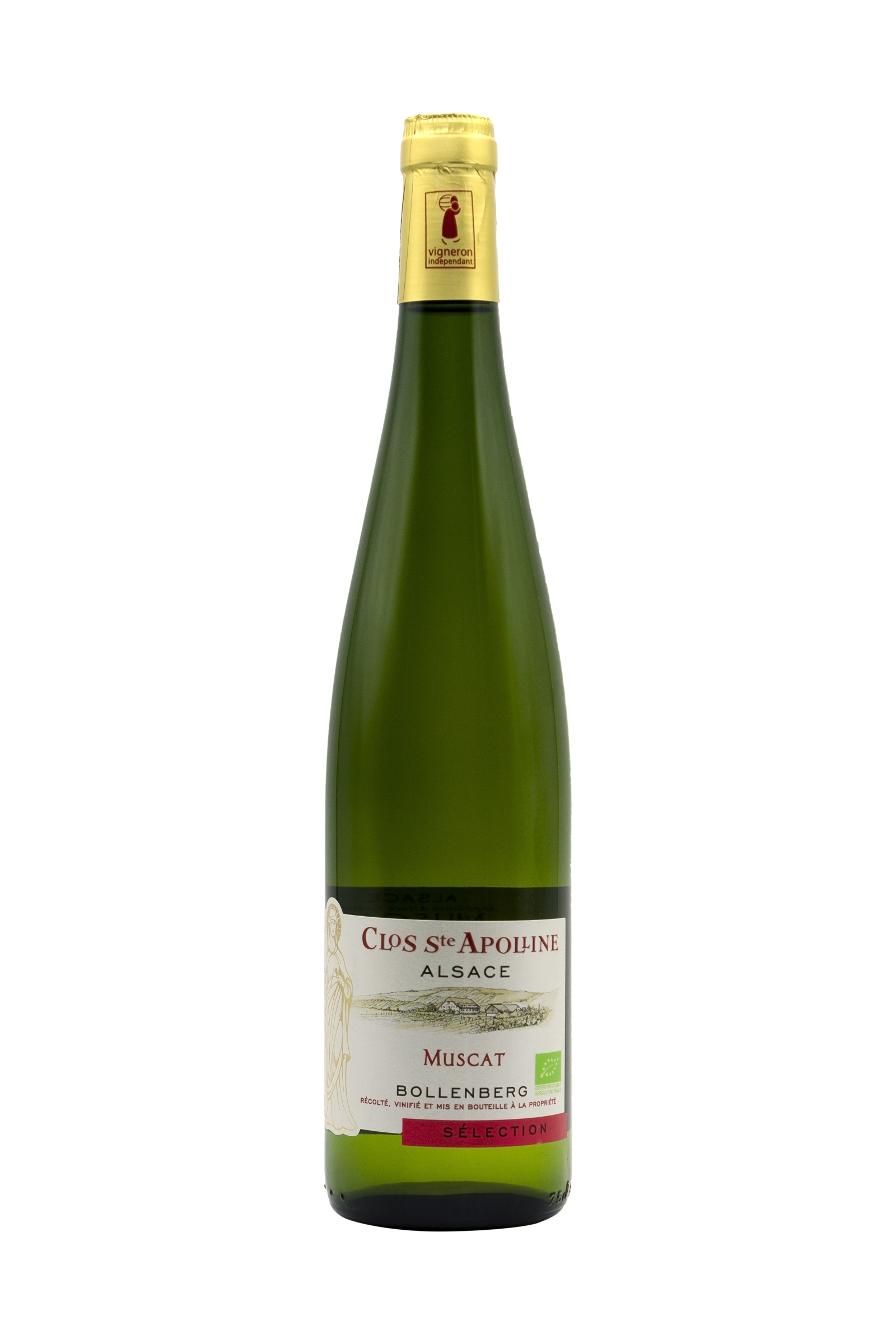 Alsace Muscat Sélection Bio (750ml) | Domaine du Bollenberg