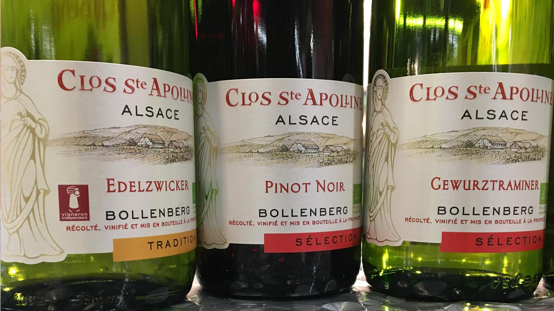 Domaine du Bollenberg | Clos Ste Apolline